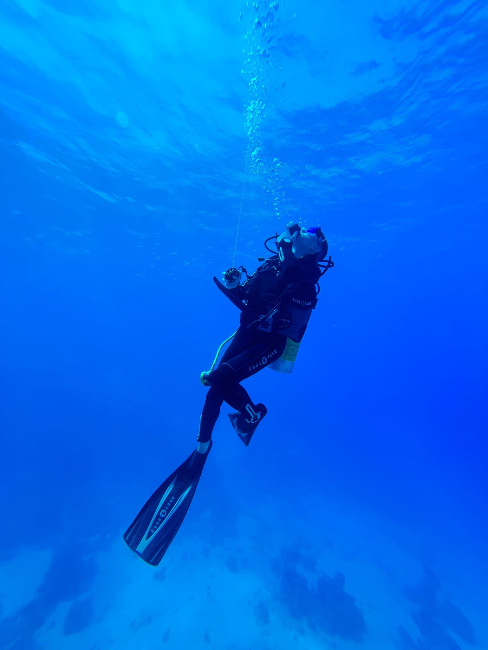 Scuba diver exploring clear blue water